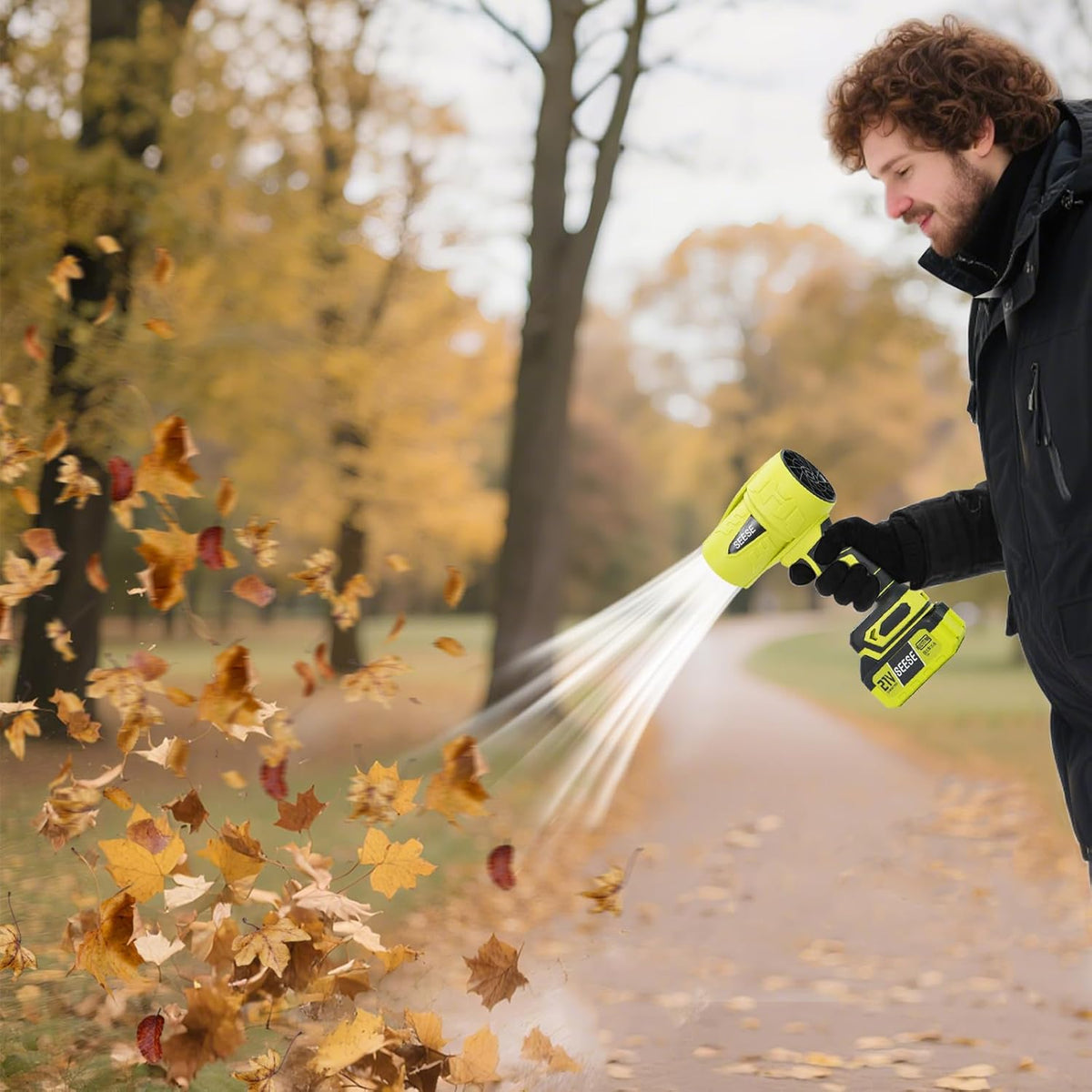 SEESE Cordless Handheld Leaf Blower and Air Duster